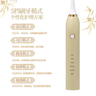 Antibacterial USB Electric Sonic Toothbrush With Timer For Adults Portable