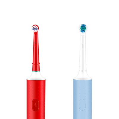 RoHS Travel Rotating Electric Toothbrush Rechargeable Battery Powered